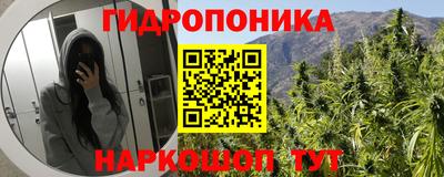 шишки Малоярославец