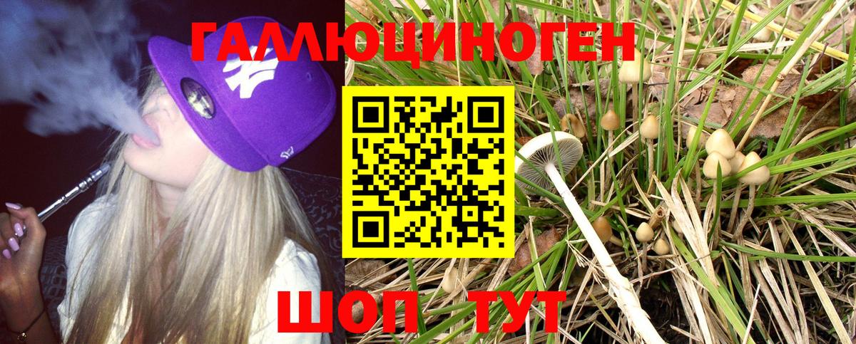 Партизанск  Псилоцибиновые грибы GOLDEN TEACHER  Вход с VPN  Галлюциногенные грибы Cubensis 