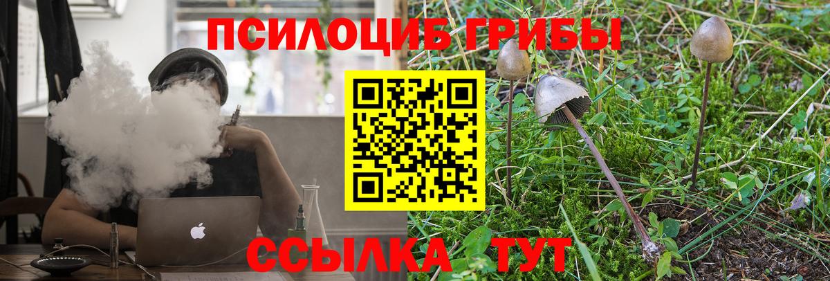 Галлюциногенные грибы прущие грибы Партизанск